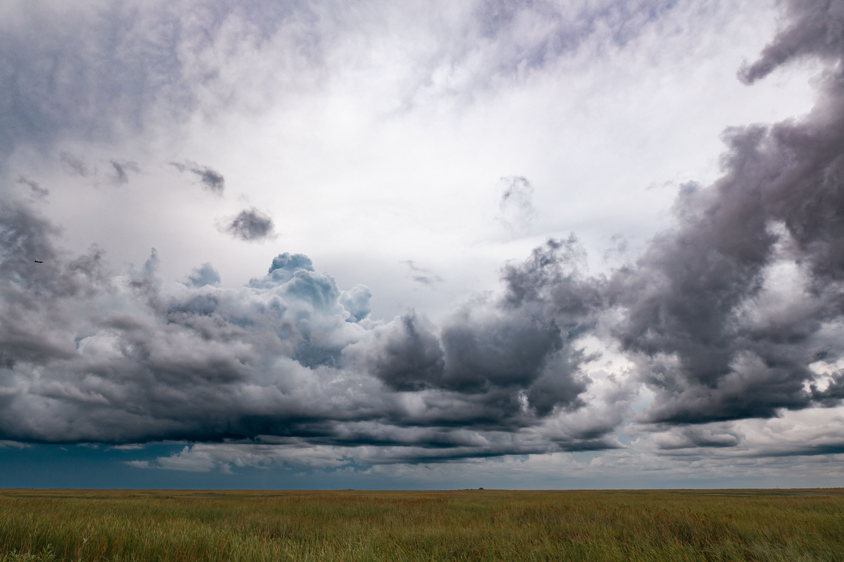 Weather conditions in Brookings.