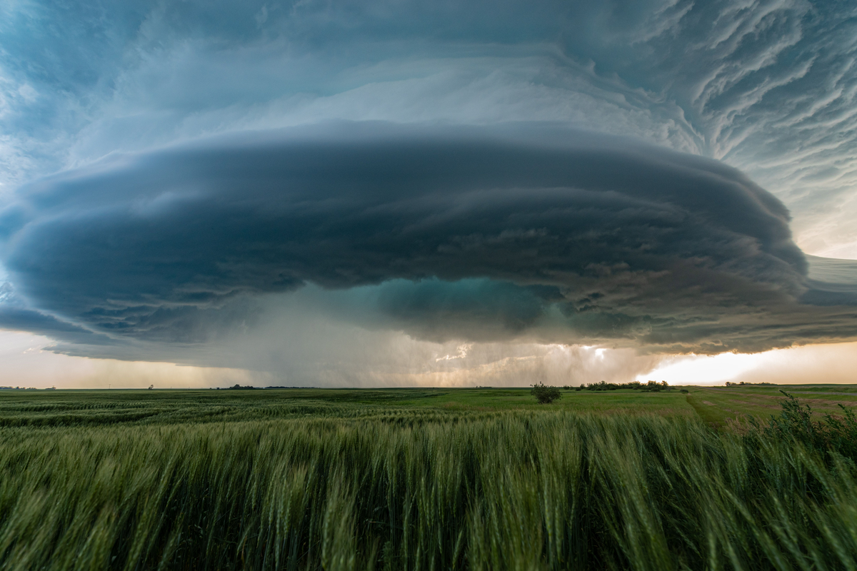 Weather conditions in Brookings.